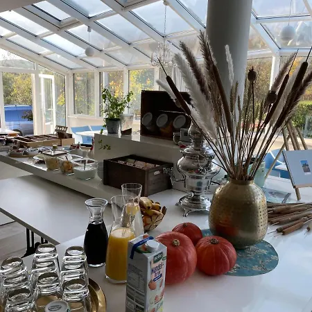 Freudenthal Bed & Breakfast *