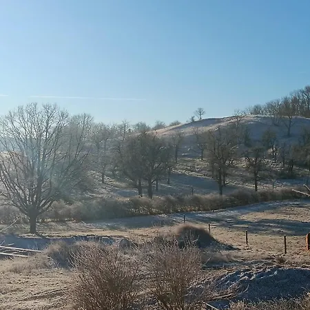 Freudenthal Wandersleben