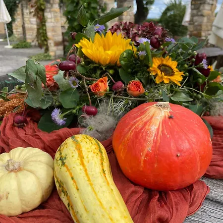 Freudenthal Bed and Breakfast