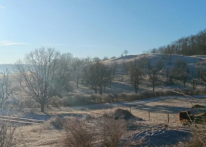 Freudenthal Wandersleben