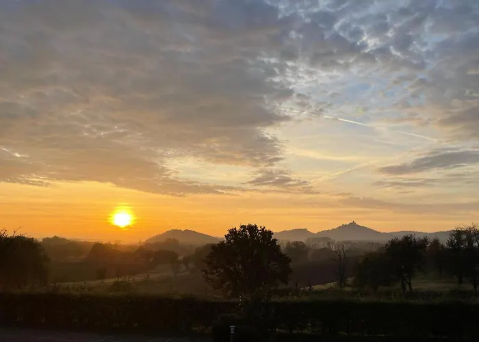 Freudenthal Oda ve Kahvaltı